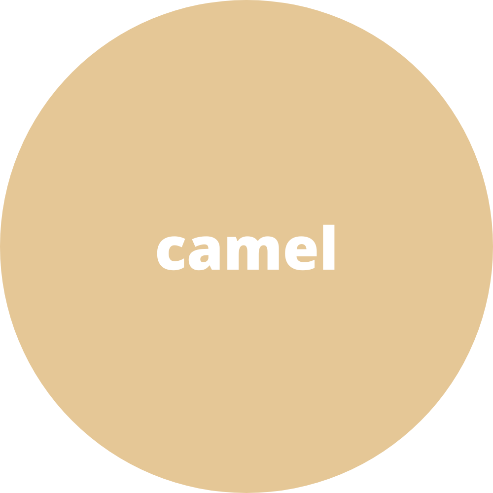 MUREXIN, farba, farby, farebný odtieň, camel