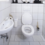 HG čistič hygienický na príslušenstvo toaliet v spreji (500 ml)